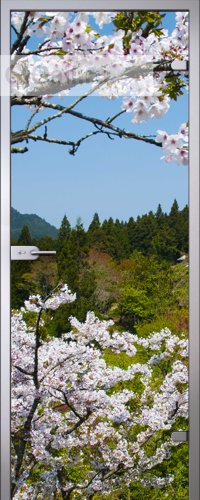 Стеклянная межкомнатная дверь Imagination Flowers с рисунком УФ красками на принтере Mimaki на прозрачном б/ц стекле (полотно)