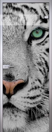 Стеклянная межкомнатная дверь Imagination Animal с рисунком УФ красками на принтере Mimaki на прозрачном б/ц стекле (полотно)