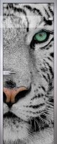 Стеклянная межкомнатная дверь Imagination Animal с рисунком УФ красками на принтере Mimaki на прозрачном б/ц стекле (полотно) - Стеклянная межкомнатная дверь Imagination Animal с рисунком УФ красками на принтере Mimaki на прозрачном б/ц стекле